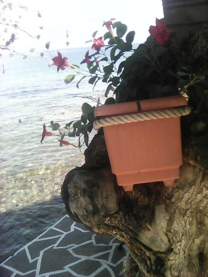 Skála Kallirákhis Agyrovoli Bungalow מראה חיצוני תמונה